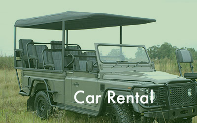 car-rental.jpg