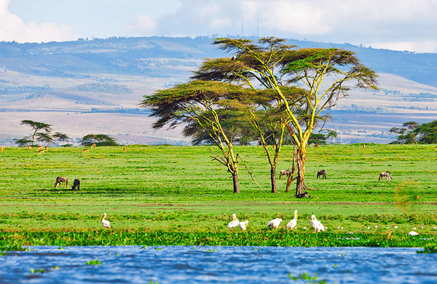kenya-lake-naivasha.jpg