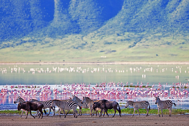 tanzania-ngorongoro-crater.jpg