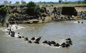 10 Days Kenya-Tanzania &amp; Kilimanjaro day hike