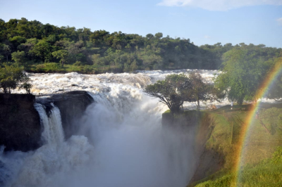4 Days Rhino Trekking &  Murchison Falls NP