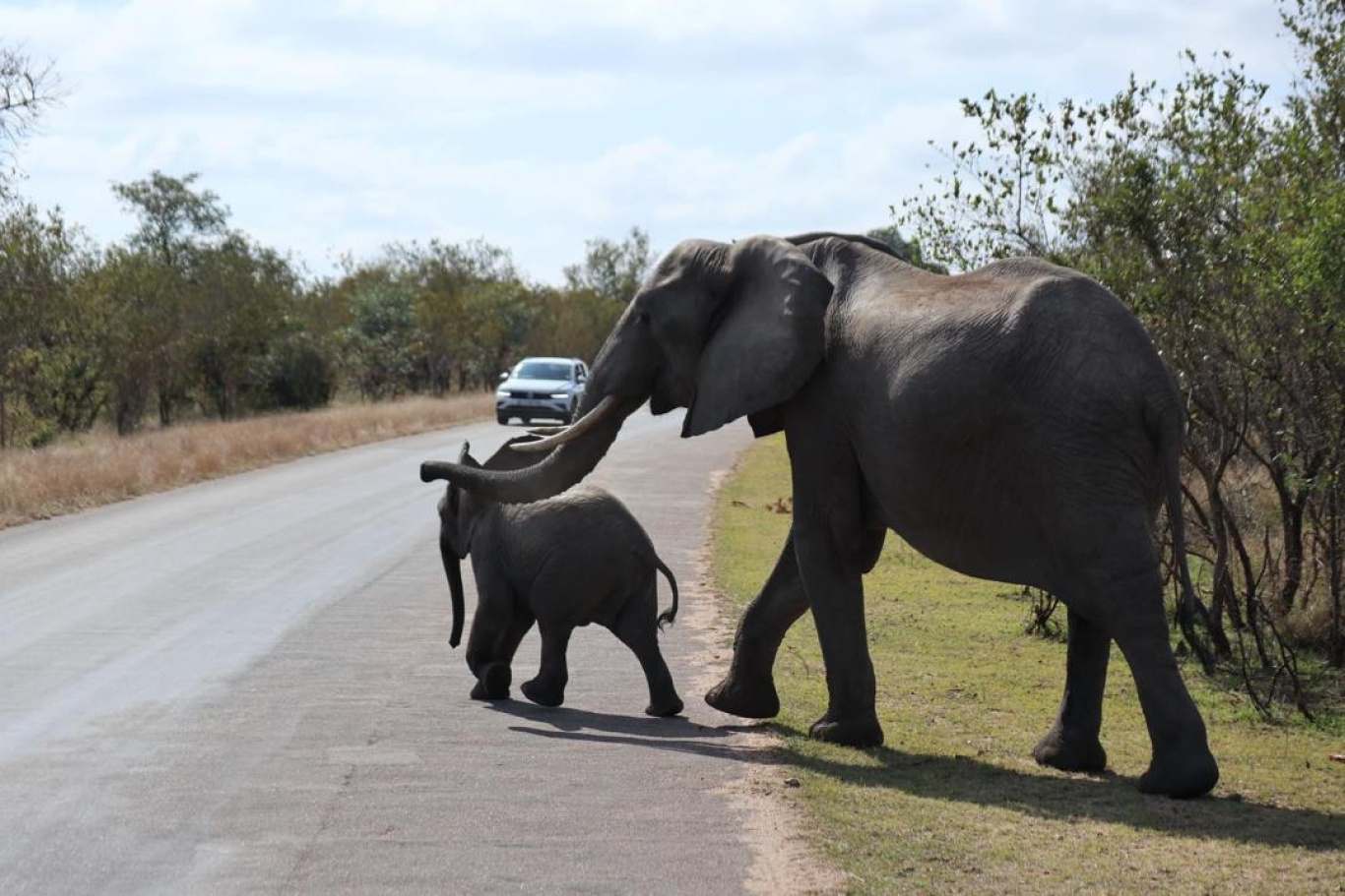 7 Days Johannesburg &amp; The Kruger, South Africa