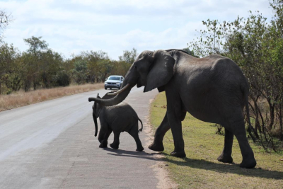 7 Days Johannesburg & The Kruger, South Africa