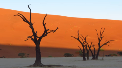 7 Days Taste of Namibia